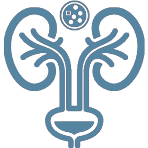 Kidney Stones Specialist Mumbai